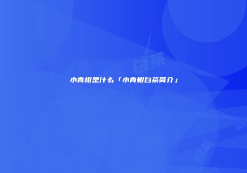 小青柑是什么「小青柑白茶简介」