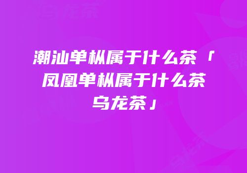潮汕单枞属于什么茶「凤凰单枞属于什么茶乌龙茶」