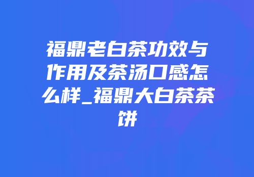 福鼎老白茶功效与作用及茶汤口感怎么样_福鼎大白茶茶饼