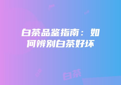 白茶品鉴指南：如何辨别白茶好坏