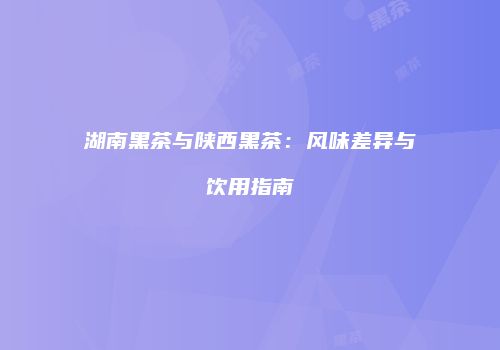 湖南黑茶与陕西黑茶：风味差异与饮用指南