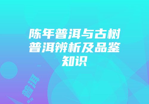 陈年普洱与古树普洱辨析及品鉴知识