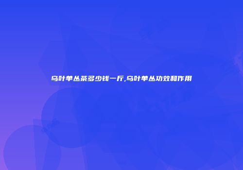 乌叶单丛茶多少钱一斤,乌叶单丛功效和作用