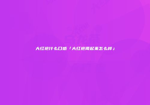 大红袍什么口感「大红袍闻起来怎么样」