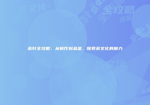 茶叶全攻略：从制作到品鉴，探索茶文化的魅力
