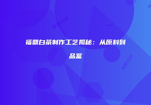 福鼎白茶制作工艺揭秘：从原料到品鉴