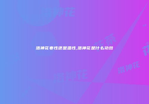 洛神花寒性还是温性,洛神花是什么功效