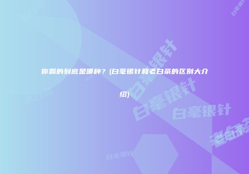 你喝的到底是哪种？(白毫银针和老白茶的区别大介绍)