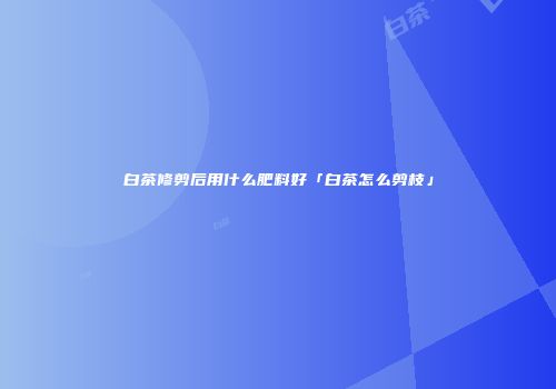 白茶修剪后用什么肥料好「白茶怎么剪枝」