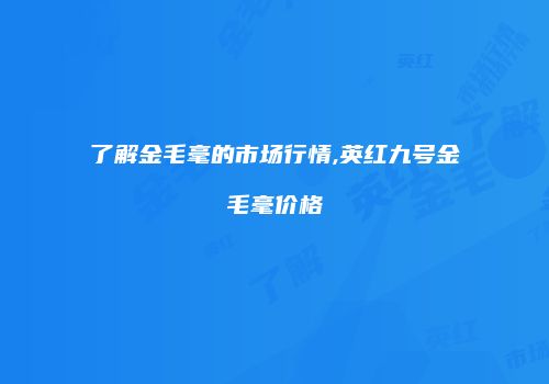 了解金毛毫的市场行情,英红九号金毛毫价格