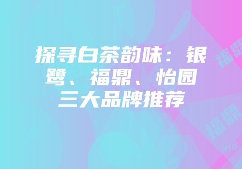 探寻白茶韵味：银鹭、福鼎、怡园三大品牌推荐
