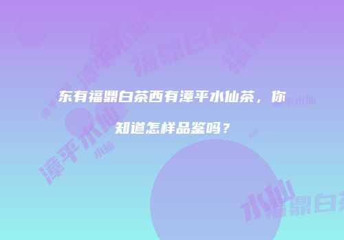 东有福鼎白茶西有漳平水仙茶，你知道怎样品鉴吗？