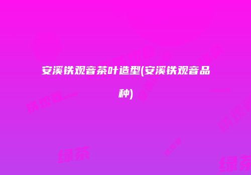 安溪铁观音茶叶造型(安溪铁观音品种)