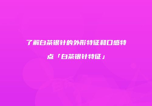 了解白茶银针的外形特征和口感特点「白茶银针特征」