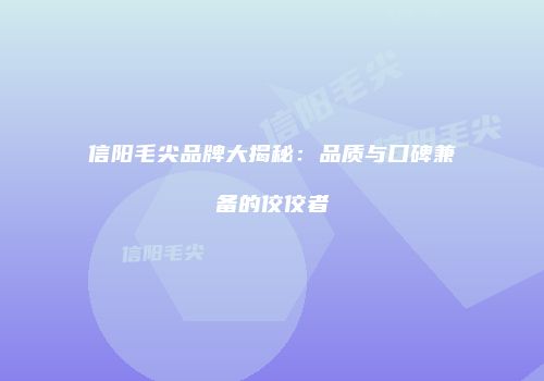 信阳毛尖品牌大揭秘：品质与口碑兼备的佼佼者