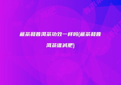 藏茶和普洱茶功效一样吗(藏茶和普洱茶谁减肥)