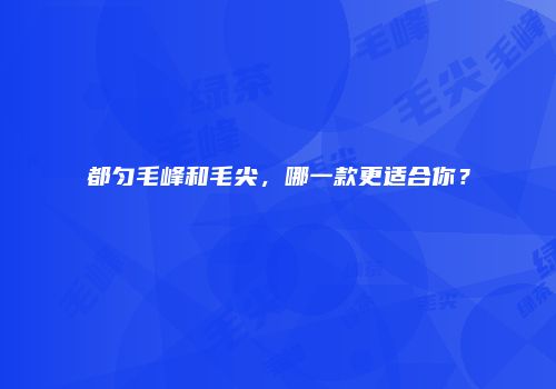 都匀毛峰和毛尖，哪一款更适合你？