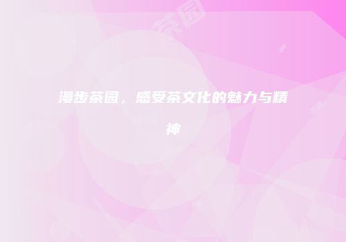 漫步茶园，感受茶文化的魅力与精神