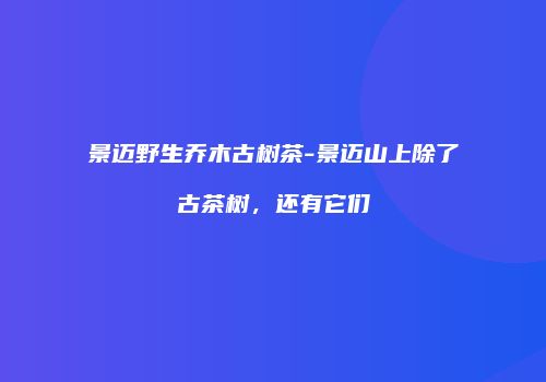 景迈野生乔木古树茶-景迈山上除了古茶树，还有它们