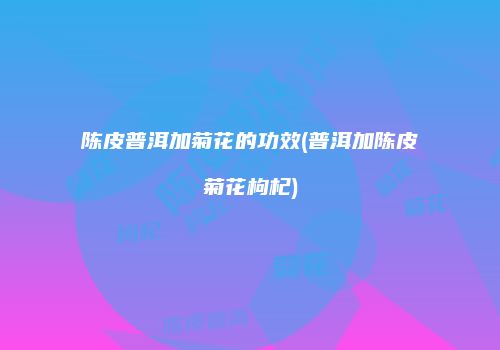 陈皮普洱加菊花的功效(普洱加陈皮菊花枸杞)