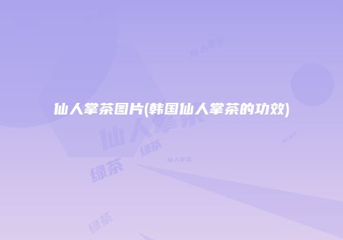 仙人掌茶图片(韩国仙人掌茶的功效)