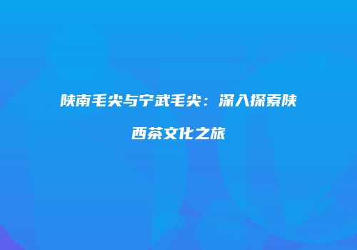 陕南毛尖与宁武毛尖：深入探索陕西茶文化之旅