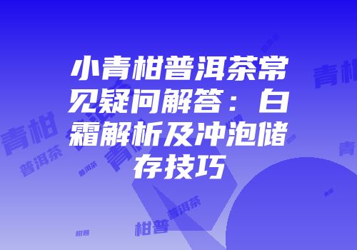 小青柑普洱茶常见疑问解答：白霜解析及冲泡储存技巧