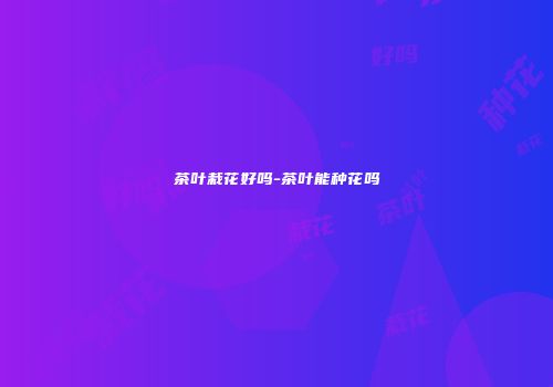 茶叶栽花好吗-茶叶能种花吗