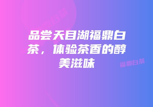 品尝天目湖福鼎白茶，体验茶香的醇美滋味