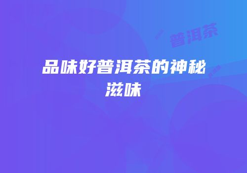 品味好普洱茶的神秘滋味