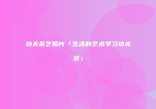 功夫茶艺照片「生活的艺术学习功夫茶」