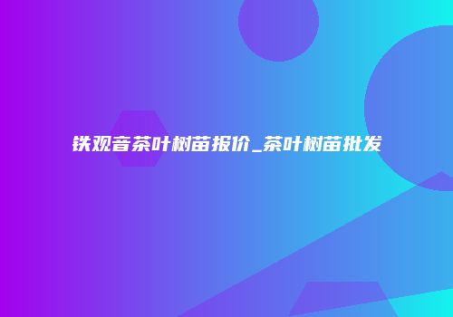 铁观音茶叶树苗报价_茶叶树苗批发