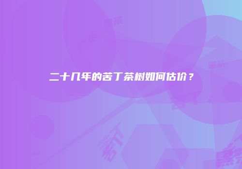 二十几年的苦丁茶树如何估价？