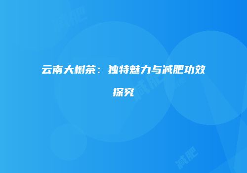 云南大树茶：独特魅力与减肥功效探究