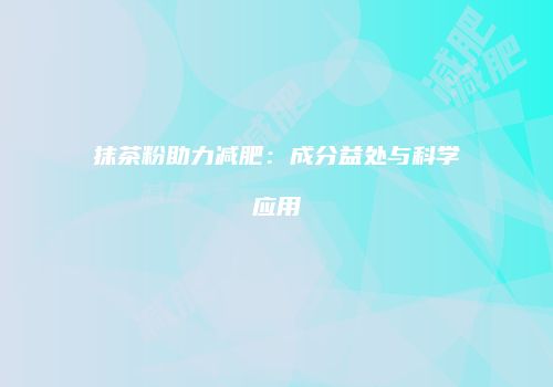 抹茶粉助力减肥：成分益处与科学应用