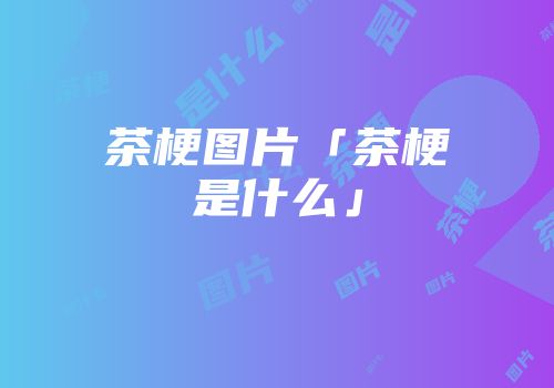 茶梗图片「茶梗是什么」