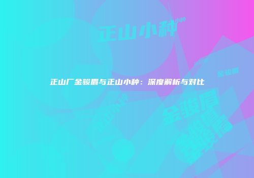 正山厂金骏眉与正山小种：深度解析与对比