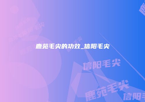 鹿苑毛尖的功效_信阳毛尖