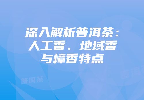 深入解析普洱茶：人工香、地域香与樟香特点