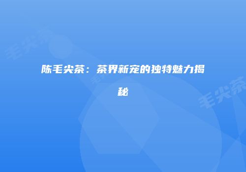 陈毛尖茶：茶界新宠的独特魅力揭秘