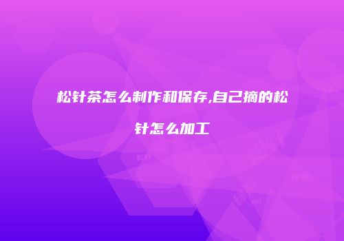 松针茶怎么制作和保存,自己摘的松针怎么加工