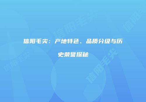 信阳毛尖：产地特色、品质分级与历史荣誉探秘