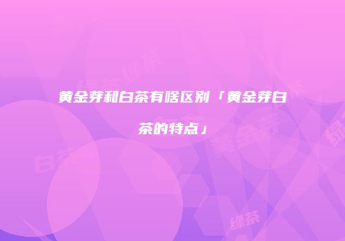 黄金芽和白茶有啥区别「黄金芽白茶的特点」