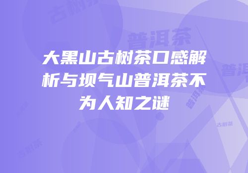 大黑山古树茶口感解析与坝气山普洱茶不为人知之谜