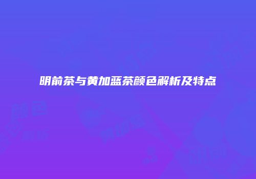 明前茶与黄加蓝茶颜色解析及特点