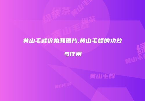黄山毛峰价格和图片,黄山毛峰的功效与作用