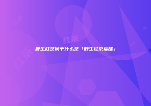 野生红茶属于什么茶「野生红茶福建」