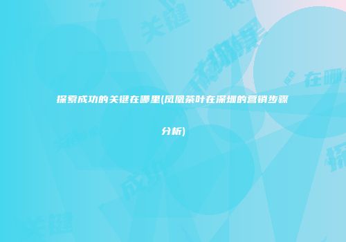 探索成功的关键在哪里(凤凰茶叶在深圳的营销步骤分析)