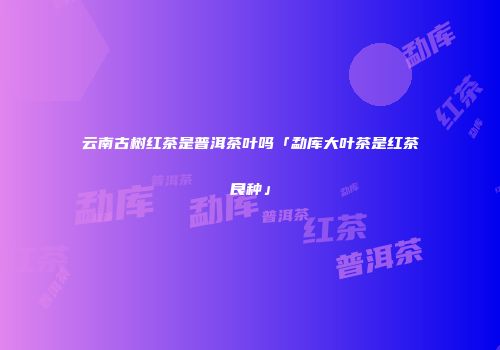 云南古树红茶是普洱茶叶吗「勐库大叶茶是红茶良种」