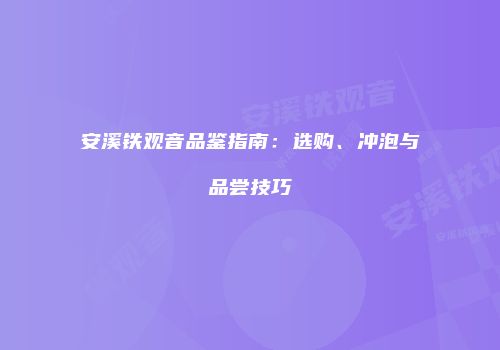 安溪铁观音品鉴指南：选购、冲泡与品尝技巧